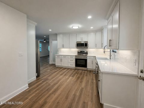 Tiny photo for 138 Keylon Hollow Rd, Ten Mile, TN 37880 (MLS # 1337716)