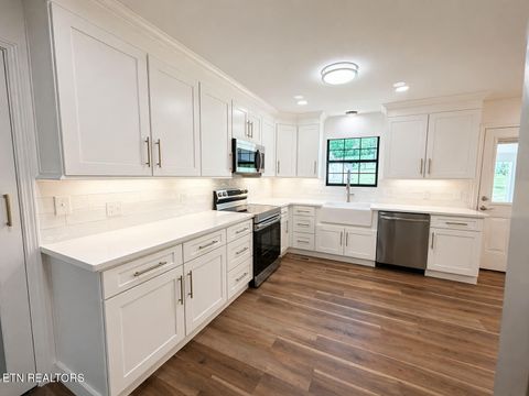 Tiny photo for 138 Keylon Hollow Rd, Ten Mile, TN 37880 (MLS # 1337716)