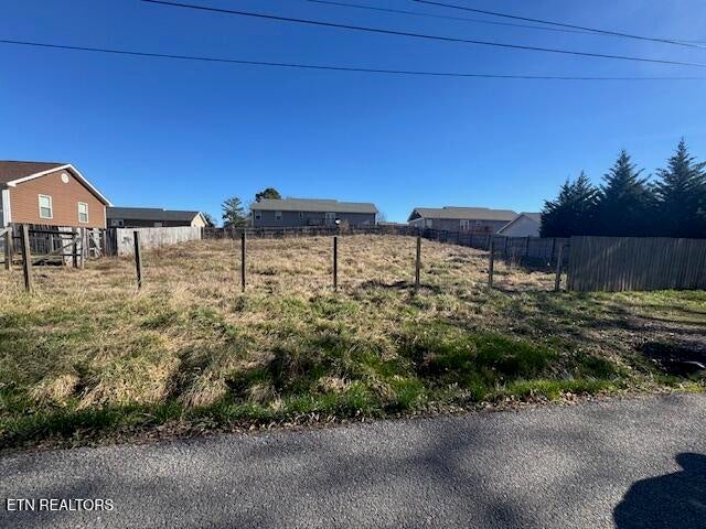 Photo of 190 Lilac Ave, Dayton, TN 37321 (MLS # 1291462)