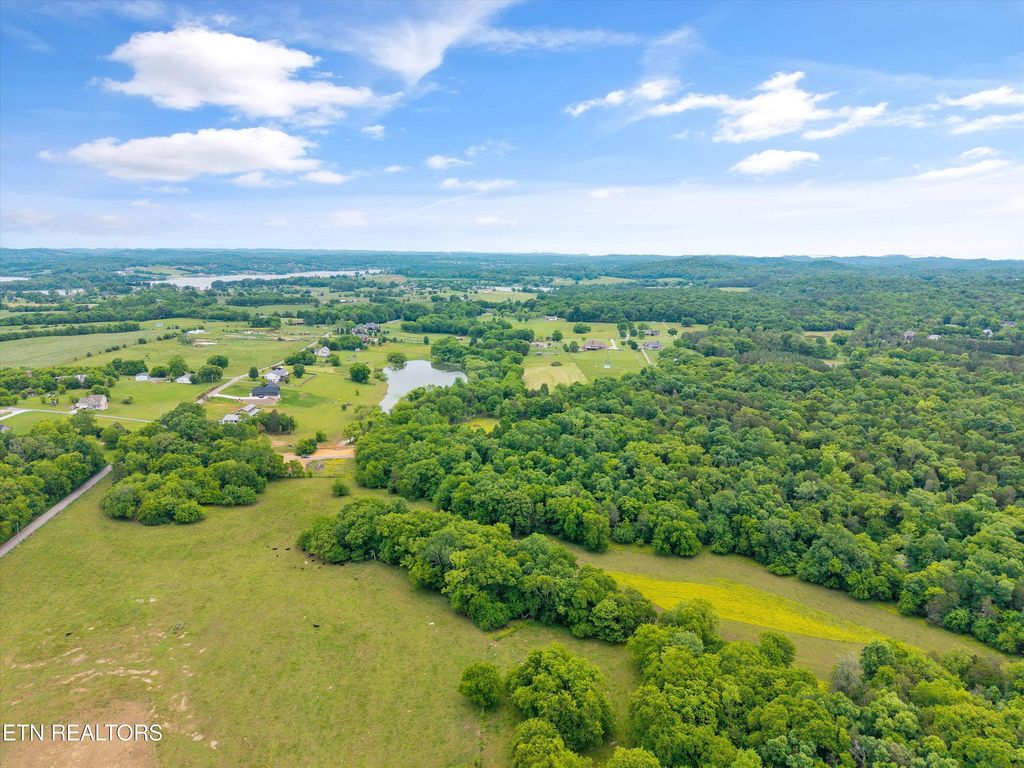 Photo of 4181 Lowes Ferry Rd, Louisville, TN 37777 (MLS # 1300739)