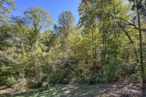 Tiny photo for 3514 Olde Tyme Way, Sevierville, TN 37862 (MLS # 1332570)