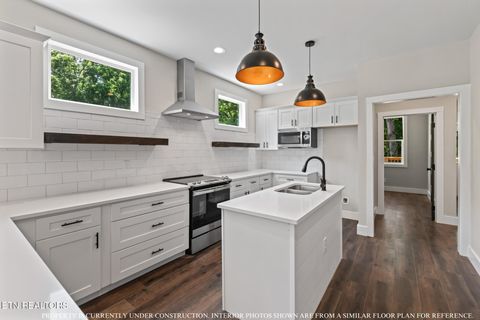 Tiny photo for 700 W Main St, Dandridge, TN 37725 (MLS # 1323421)