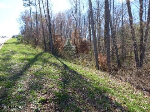Tiny photo for 23 Bridgewater Pointe Blvd, Morristown, TN 37814 (MLS # 1332566)