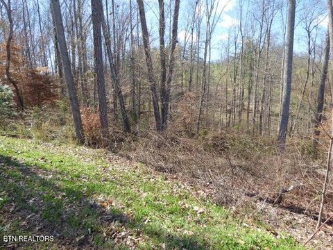 Tiny photo for 23 Bridgewater Pointe Blvd, Morristown, TN 37814 (MLS # 1332566)