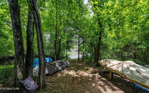 Tiny photo for 318 Dudala Way, Loudon, TN 37774 (MLS # 1356110)