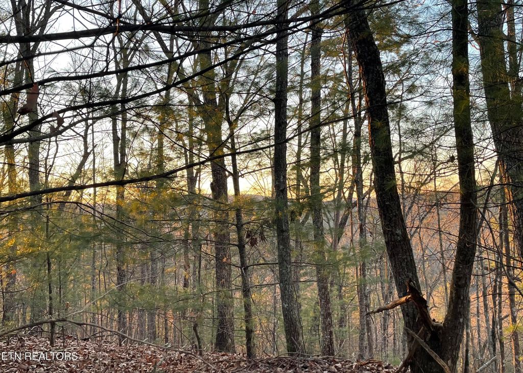 Photo of Gold Miners Lane, Tellico Plains, TN 37385 (MLS # 1323910)