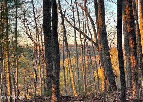 Gold Miners Lane Tellico Plains TN 37385