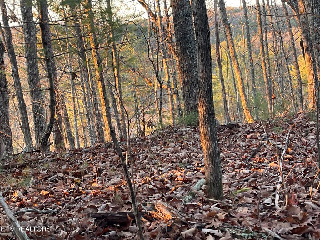 Photo of Gold Miners Lane, Tellico Plains, TN 37385 (MLS # 1323910)