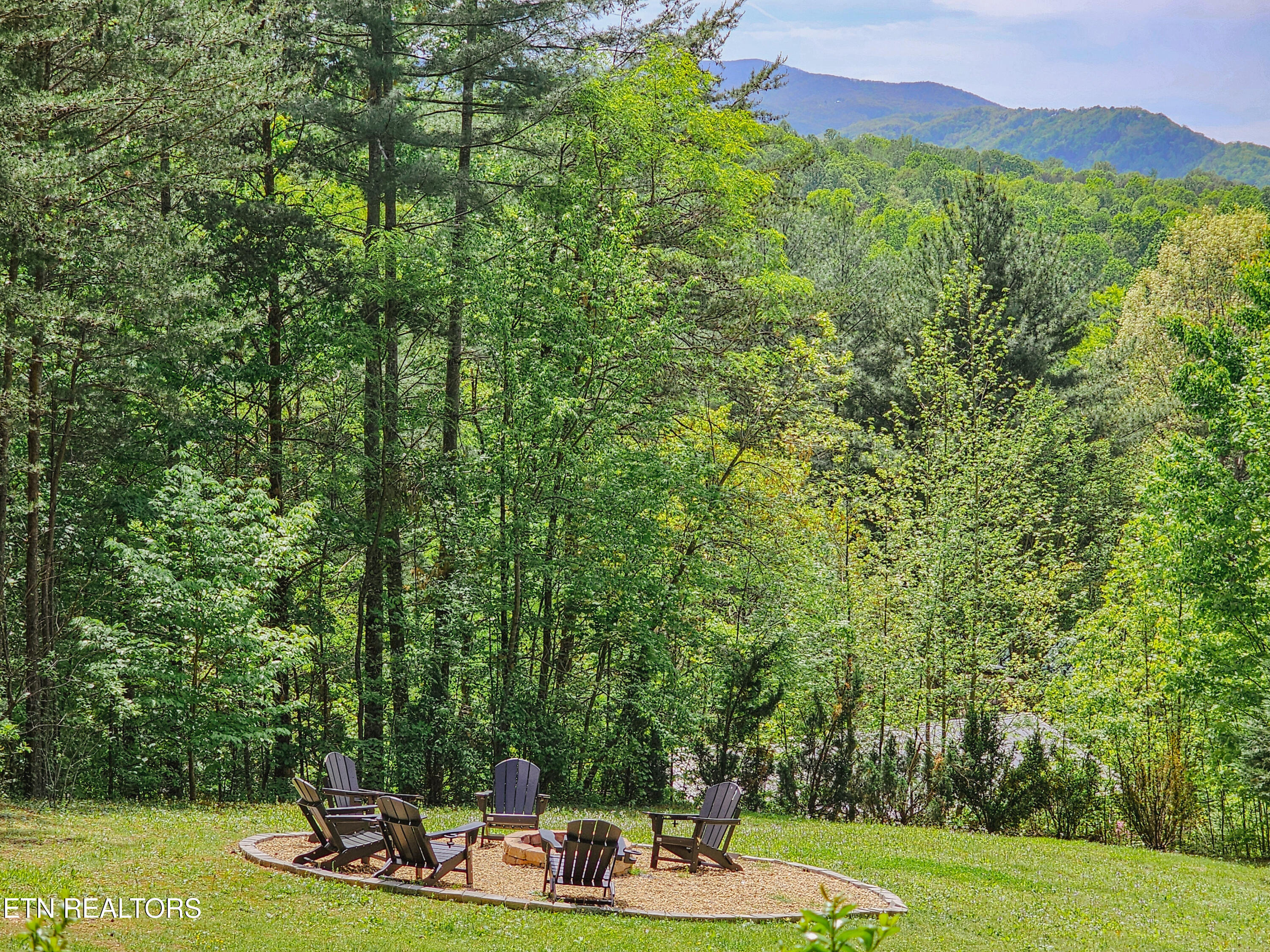 1223 Ski View Lane