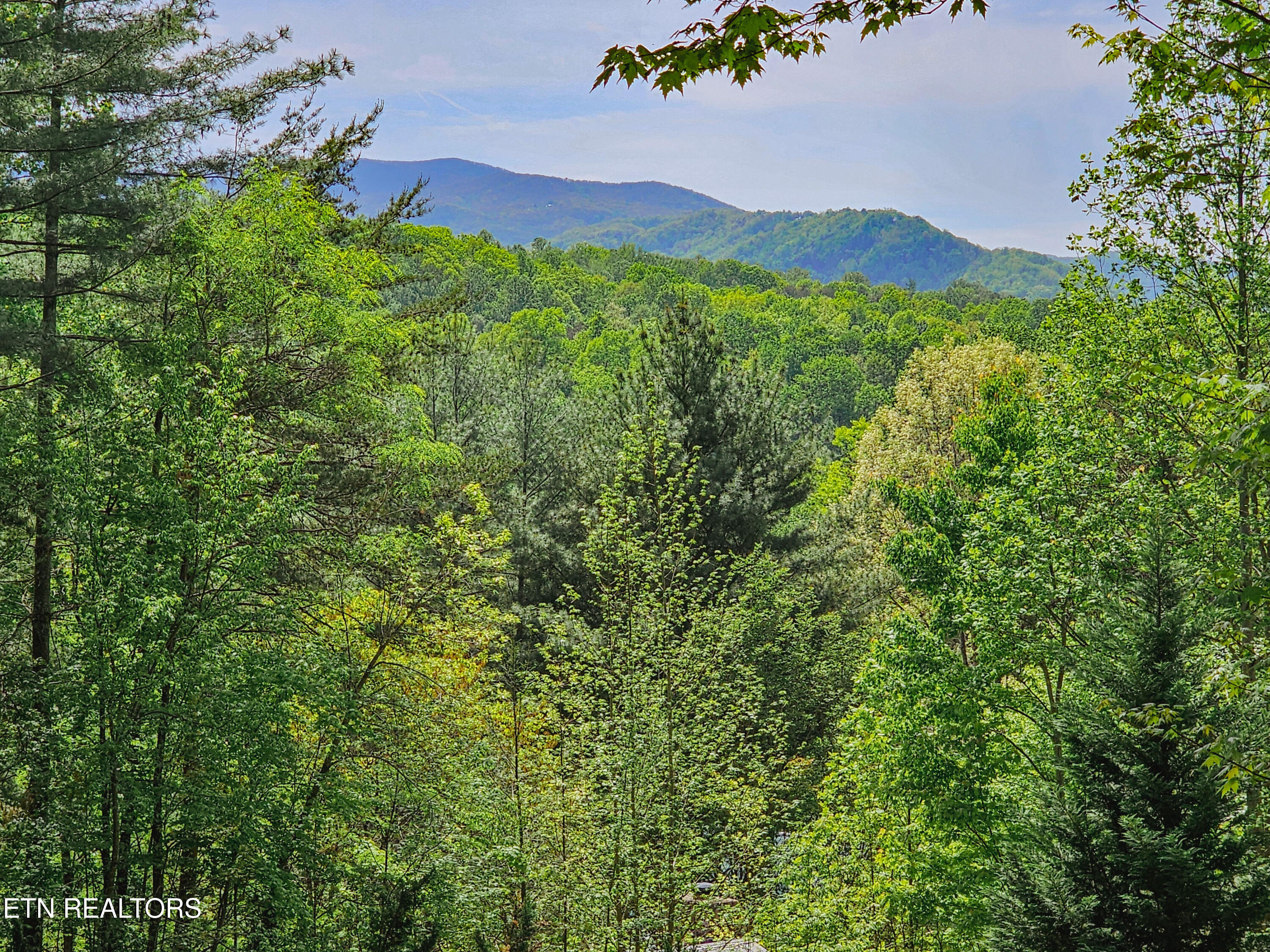 1223 Ski View Lane