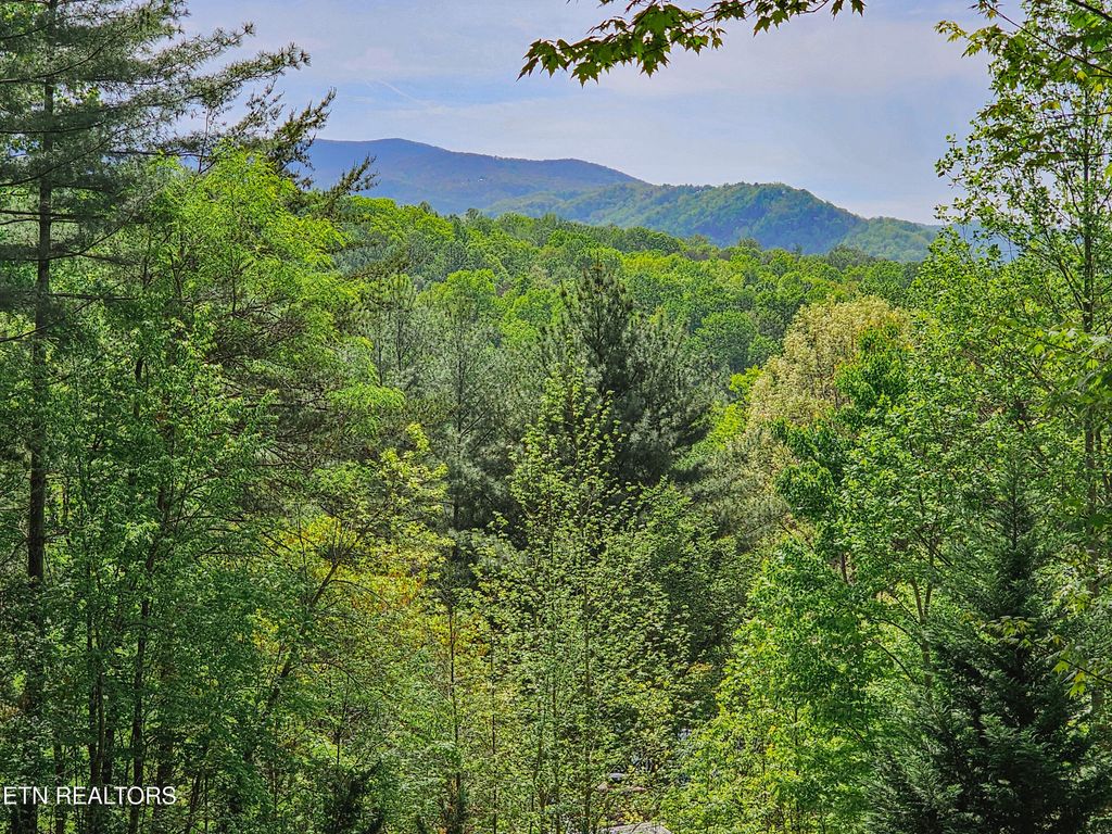 Photo of 1223 Ski View Lane, Sevierville, TN 37876 (MLS # 1299308)