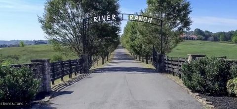 Lot 71 River Drive Blaine TN 37709