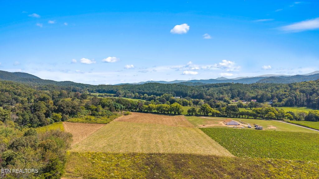 Photo of Tree Top Lane, Tellico Plains, TN 37385 (MLS # 1316220)