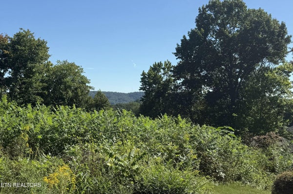 3356 WHISPERING OAKS DR, KNOXVILLE, TN 37938 - Image d37df1a83cbca0c8c8731d689bbc7fbf/1244906086