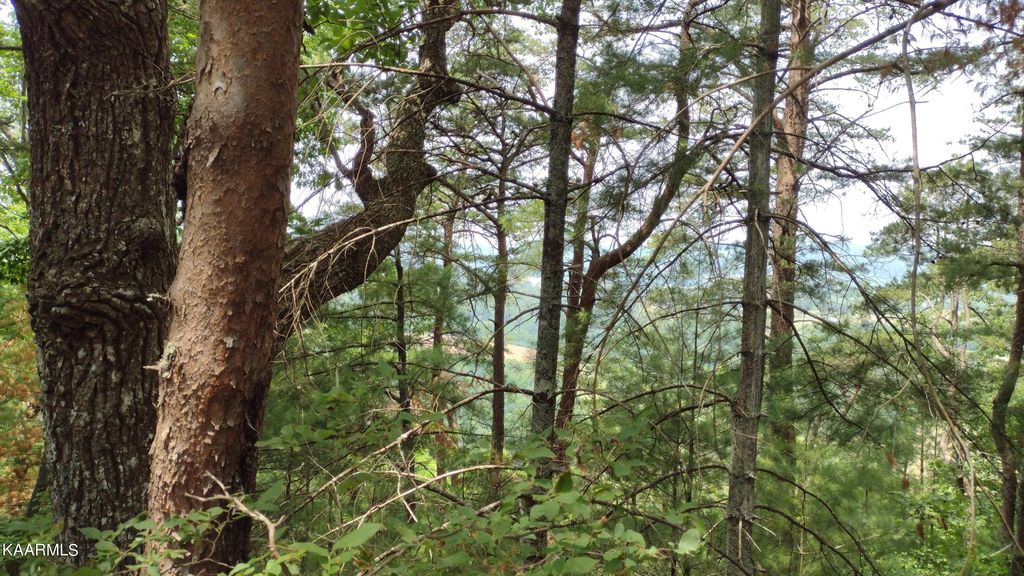 Photo of Riverview Lane, Tellico Plains, TN 37385 (MLS # 1232490)