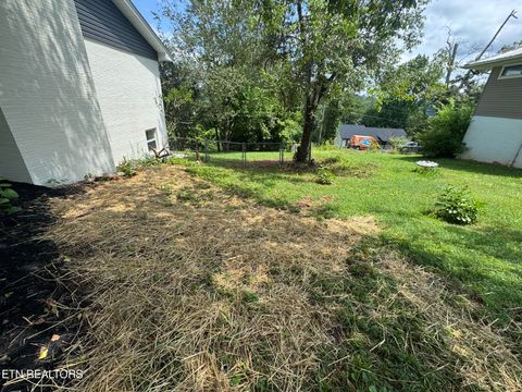 Tiny photo for 403 Hickory St, Clinton, TN 37716 (MLS # 1347942)