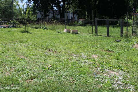 Tiny photo for 166 Andrew Lane, Jacksboro, TN 37757 (MLS # 1346293)