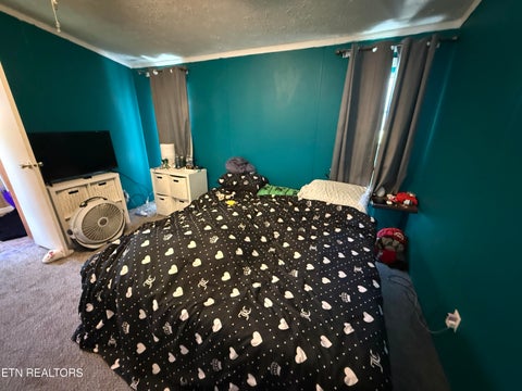 Tiny photo for 166 Andrew Lane, Jacksboro, TN 37757 (MLS # 1346293)
