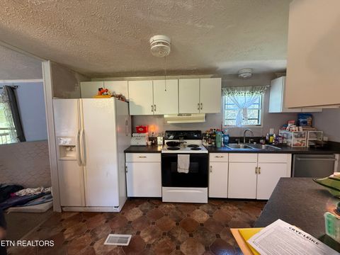Tiny photo for 166 Andrew Lane, Jacksboro, TN 37757 (MLS # 1346293)