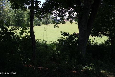 Tiny photo for 166 Andrew Lane, Jacksboro, TN 37757 (MLS # 1346293)