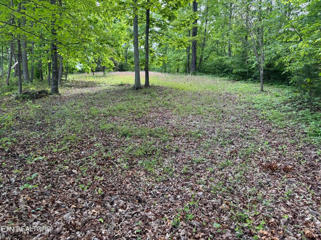 Photo of Baldwin Rd, Tazewell, TN 37879 (MLS # 1300583)
