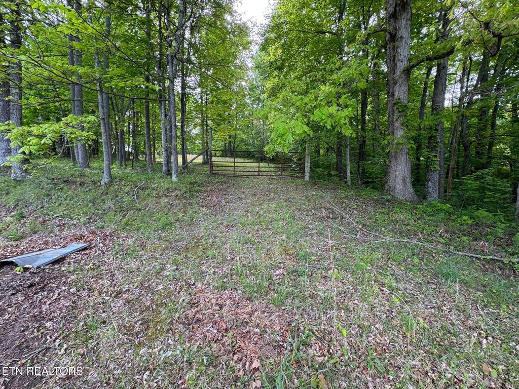 Photo of Baldwin Rd, Tazewell, TN 37879 (MLS # 1300583)