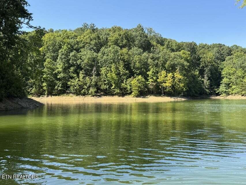 Photo of 8 Aaron Street, Sevierville, TN 37876 (MLS # 1356054)