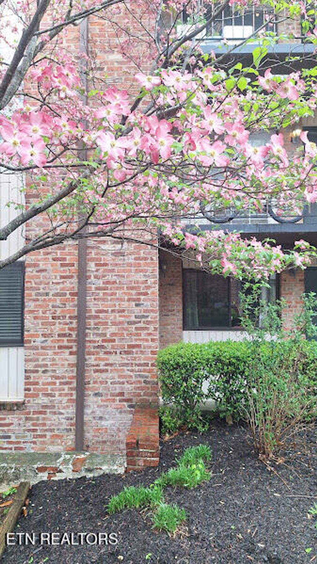 Photo of 2718 Painter Ave #B108, Knoxville, TN 37919 (MLS # 1348652)