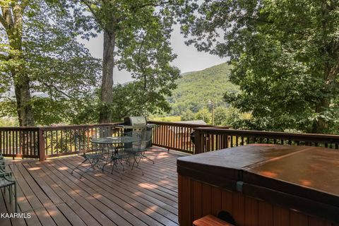 Tiny photo for 3390 Robeson Rd, Sevierville, TN 37862 (MLS # 1332713)
