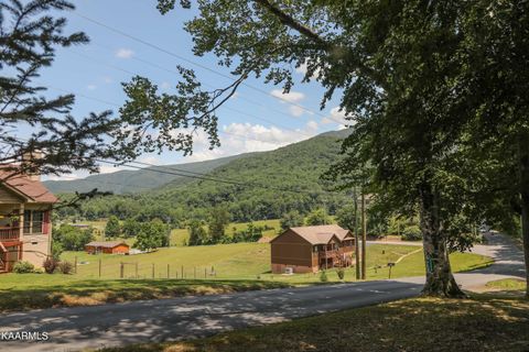 Tiny photo for 3390 Robeson Rd, Sevierville, TN 37862 (MLS # 1332713)