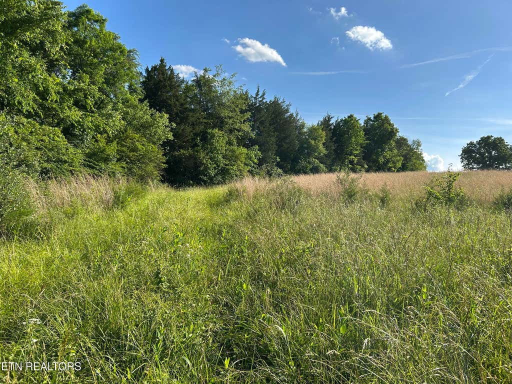 Photo of 0 Old Tennessee 70 Rd, Rogersville, TN 37857 (MLS # 1343646)