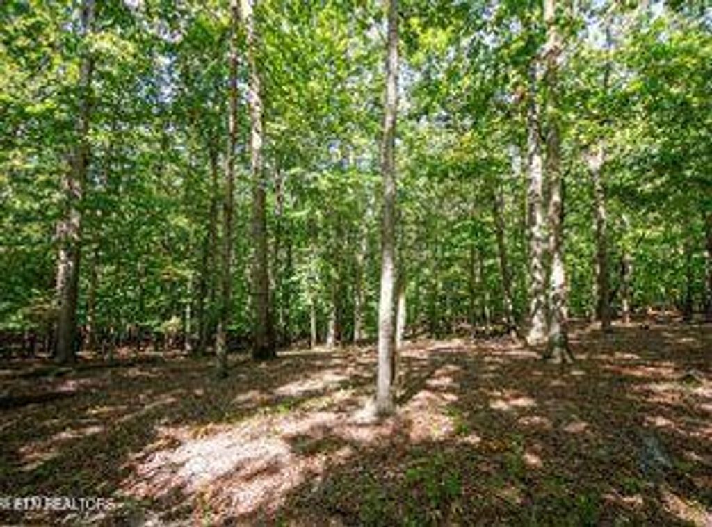 Photo of 1267 Old Dogwood Tr, Loudon, TN 37774 (MLS # 1297814)