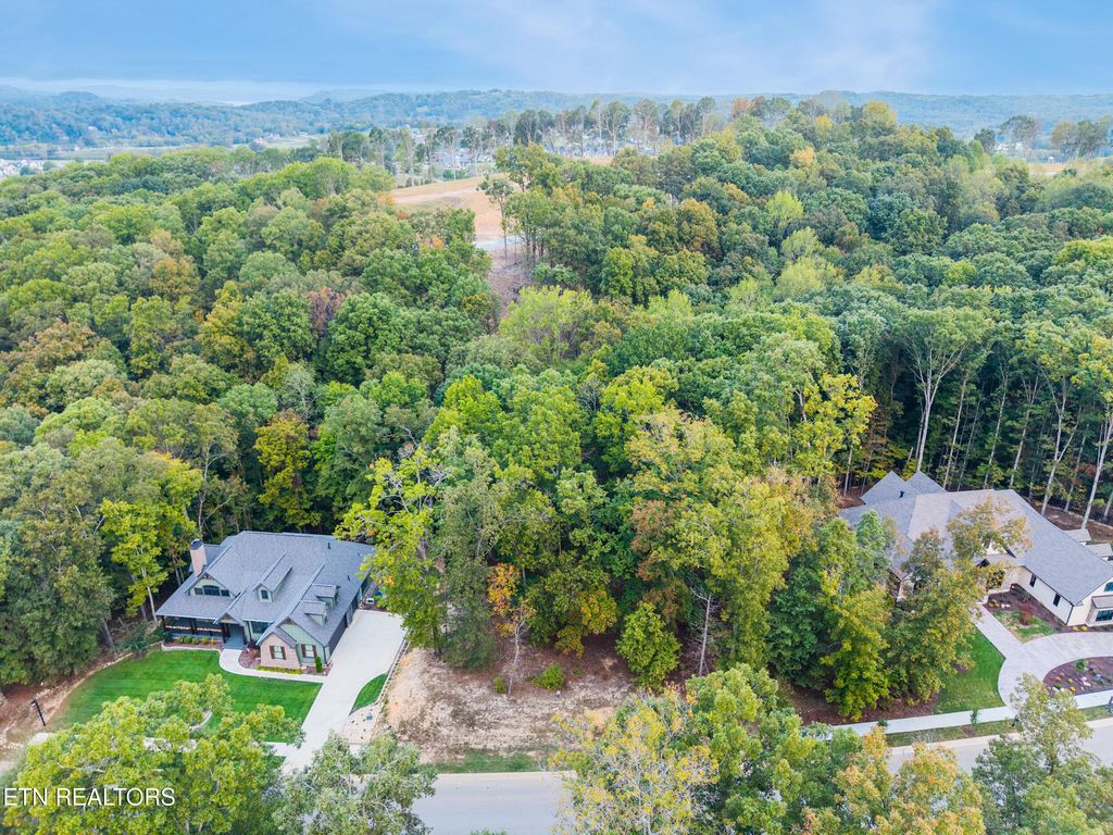 Photo of 1267 Old Dogwood Tr, Loudon, TN 37774 (MLS # 1297814)