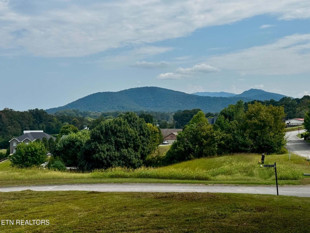Photo of 7 Friar Wood Lane, Sevierville, TN 37876 (MLS # 1357108)