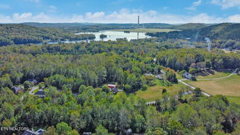 Tiny photo for 34 Indigo Bunting Drive, Harriman, TN 37748 (MLS # 1320669)