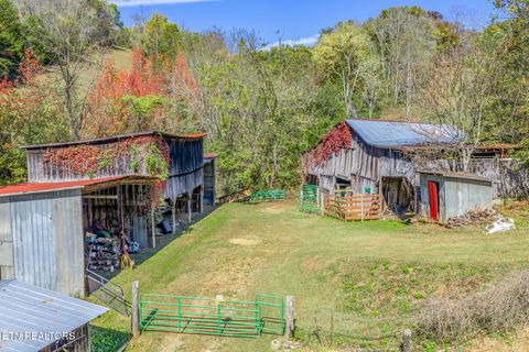 Tiny photo for 858 N Shiloh Rd, Seymour, TN 37865 (MLS # 1319240)