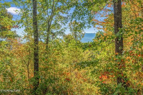 Tiny photo for 858 N Shiloh Rd, Seymour, TN 37865 (MLS # 1319240)