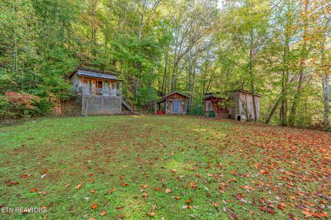 Tiny photo for 858 N Shiloh Rd, Seymour, TN 37865 (MLS # 1319240)