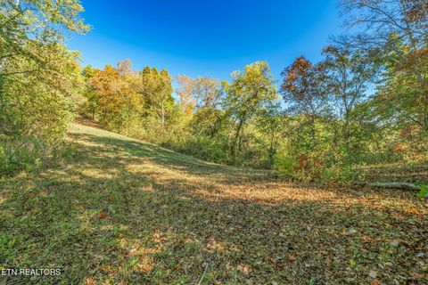 Tiny photo for 858 N Shiloh Rd, Seymour, TN 37865 (MLS # 1319240)