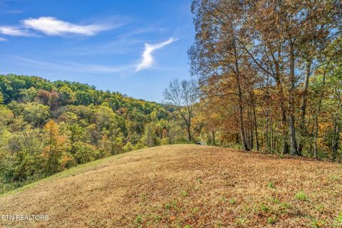Tiny photo for 858 N Shiloh Rd, Seymour, TN 37865 (MLS # 1319240)
