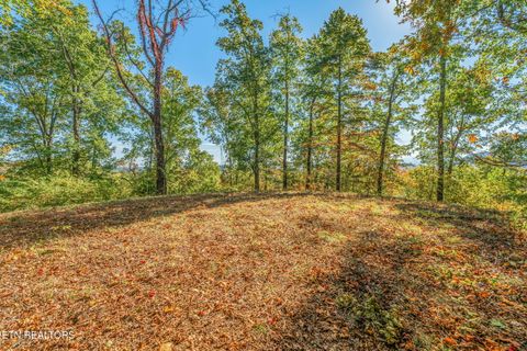 Tiny photo for 858 N Shiloh Rd, Seymour, TN 37865 (MLS # 1319240)
