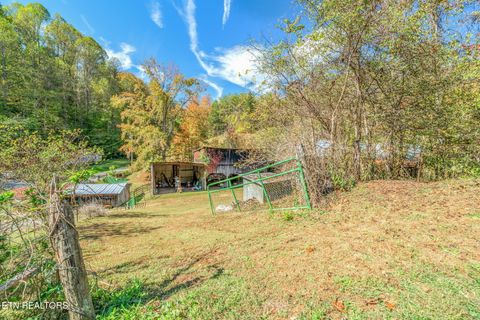 Tiny photo for 858 N Shiloh Rd, Seymour, TN 37865 (MLS # 1319240)