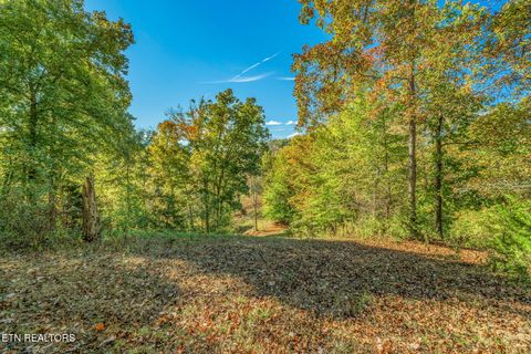 Tiny photo for 858 N Shiloh Rd, Seymour, TN 37865 (MLS # 1319240)