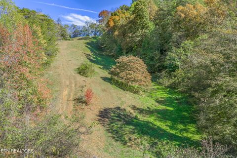 Tiny photo for 858 N Shiloh Rd, Seymour, TN 37865 (MLS # 1319240)