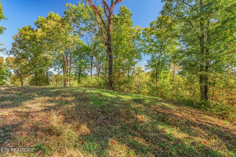 Tiny photo for 858 N Shiloh Rd, Seymour, TN 37865 (MLS # 1319240)
