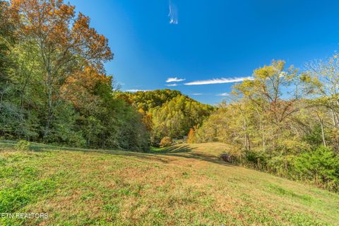 Tiny photo for 858 N Shiloh Rd, Seymour, TN 37865 (MLS # 1319240)