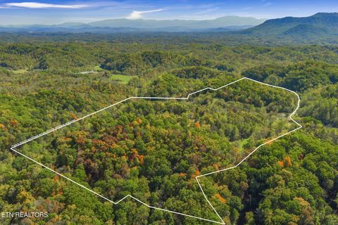 Tiny photo for 858 N Shiloh Rd, Seymour, TN 37865 (MLS # 1319240)