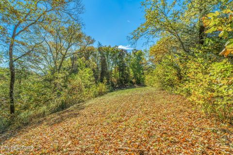 Tiny photo for 858 N Shiloh Rd, Seymour, TN 37865 (MLS # 1319240)