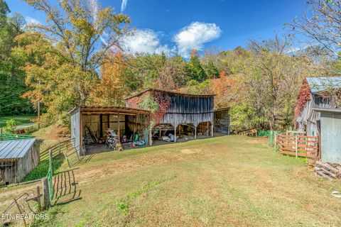 Tiny photo for 858 N Shiloh Rd, Seymour, TN 37865 (MLS # 1319240)