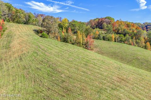 Tiny photo for 858 N Shiloh Rd, Seymour, TN 37865 (MLS # 1319240)